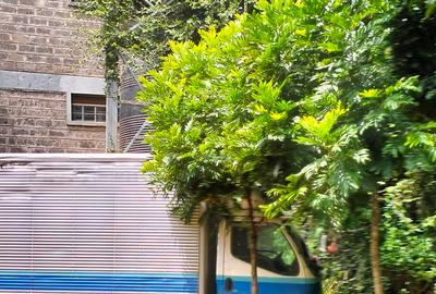Warehouse with Backup Generator at Zambezi - 3