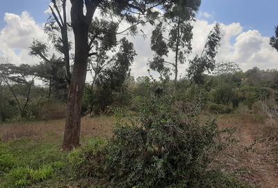 Land at Magadi Road