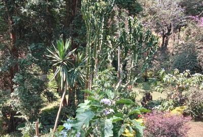 4 Bed House with En Suite at Old Muthaiga - 4