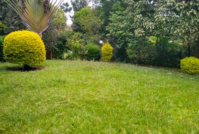 4 Bed House with En Suite at - 3