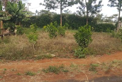 Land in Ngong