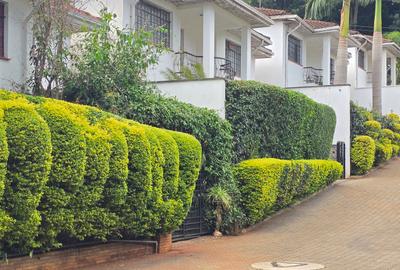4 Bed Townhouse with En Suite in Lavington - 2
