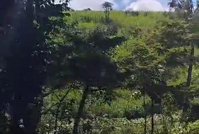 Land in Tigoni - 4