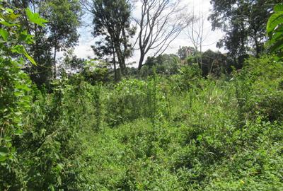1 ac Land at Runda Grove - 2