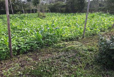 500 m² Residential Land in Ongata Rongai - 4