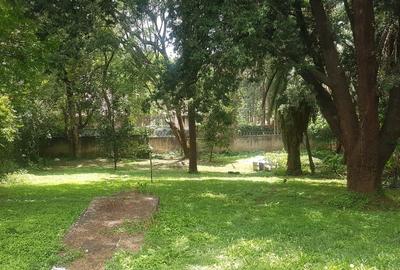 1.32 ac Residential Land in Riara Road