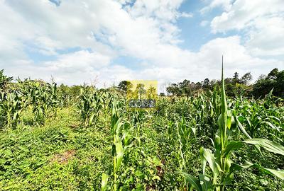 Land in Ruiru - 3