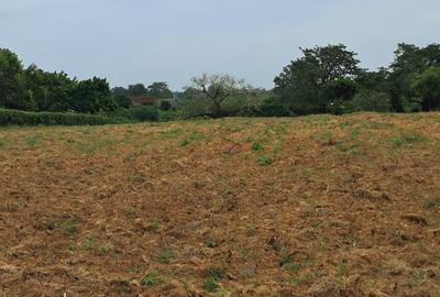 Residential Land in Kilifi - 4