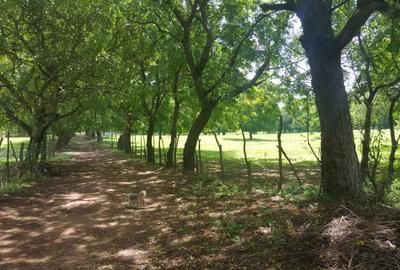 Commercial Land in Vipingo - 2