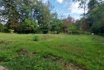 Residential Land at Runda Grove - 3