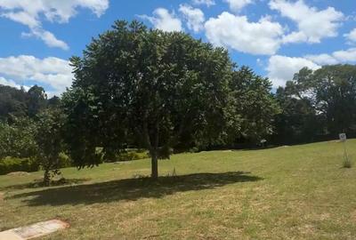 1 ac Residential Land in Karen - 4