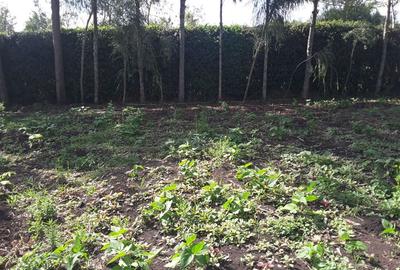 1,000 m² Residential Land in Ongata Rongai