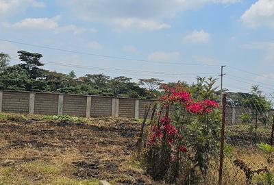 Land at Mokoiyeti West Rd