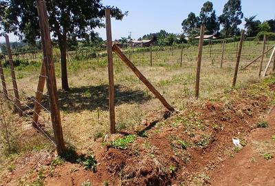 Residential Land at Thigio