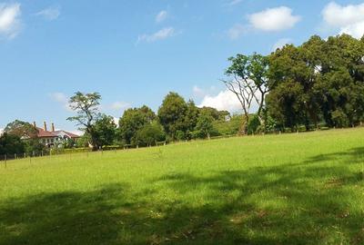 0.25 ac Land in Runda