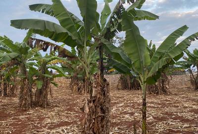 15 ac Land at Thika Road - 2