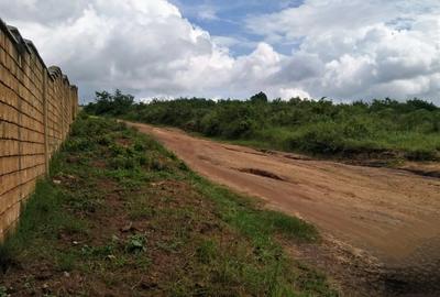 Land in Vipingo - 3