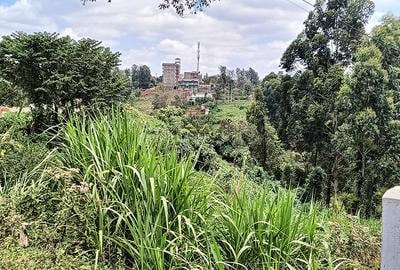 0.741 ac Land in Ruaka - 3