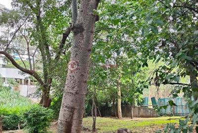 Residential Land at Raptor Road