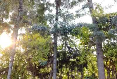 0.0113 ac Residential Land in Ngong - 4