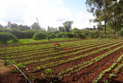 0.5 ac Land in Kitisuru