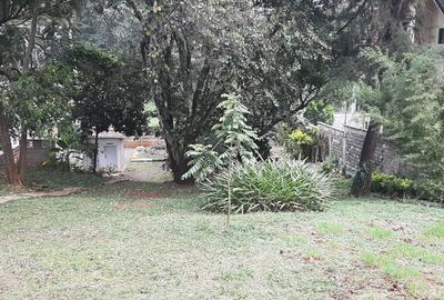 Commercial Property with Fibre Internet in Lavington