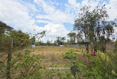 0.5 ac Land in Thome - 3