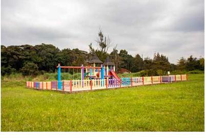 1 ac Land in Karen - 4