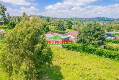 0.1 ha Commercial Land at Lusigetti