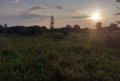 0.5 ac Residential Land in Nanyuki - 3