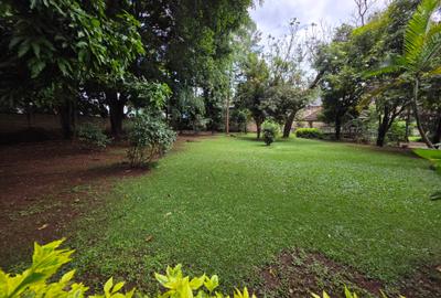 Commercial Land in Lavington - 3