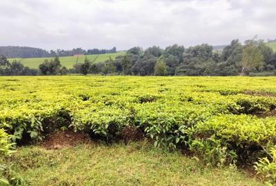 Land at Kiambu