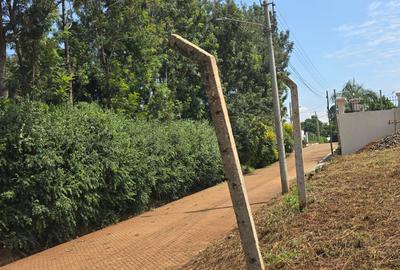 0.25 ac Residential Land at Paradise Lost Road - 2