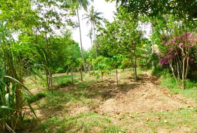 8 ac Land in Kikambala