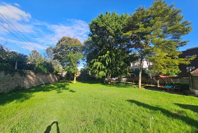Residential Land in Lavington