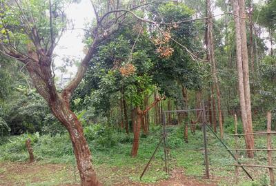 1 ac Land in Kitisuru