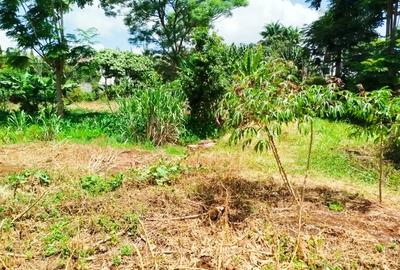 Land in Kiambu Road - 3