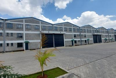 700 ft² Warehouse with Backup Generator at Babadogo