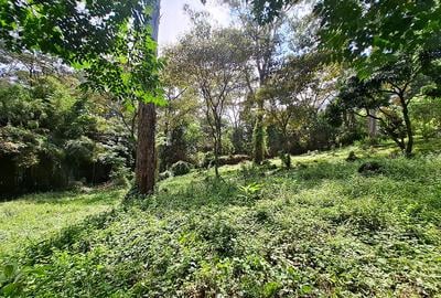 1.49 ac Land in Riara Road - 3