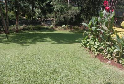 Land at Lavington