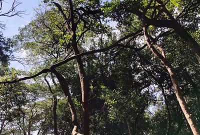 0.5 ac Land at Hardy