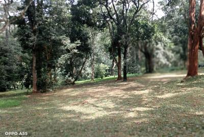 2.00 ac Land in Runda - 3