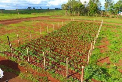 0.25 ac Residential Land at Ruiru-Mugutha (Kabogo) Road