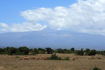 Commercial Land at Sangare Conservancy
