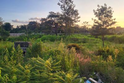 Land in Garden Estate