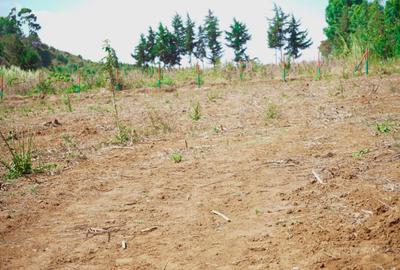 50,100 ft² Residential Land in Kamangu