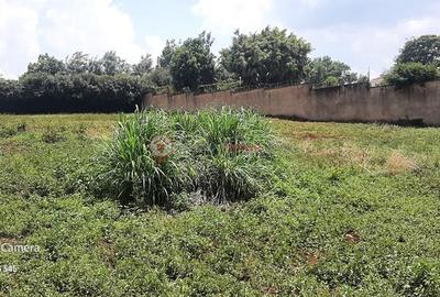 Residential Land at Runda Mumwe