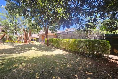 Commercial Property in Lavington - 2