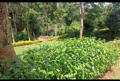 4 Bed House with Garden in Loresho - 2