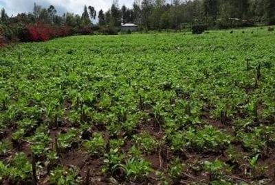 0.113 ac Land in Ngong